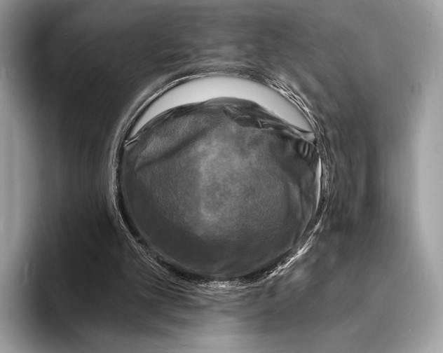 X0000095530101200801111421