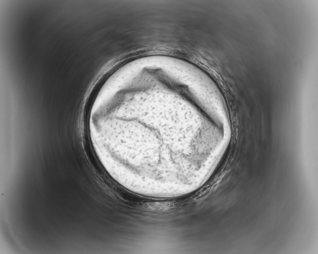 X0000095530102200801111421