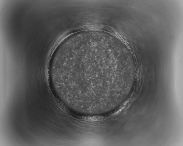 X0000095530103200801111421