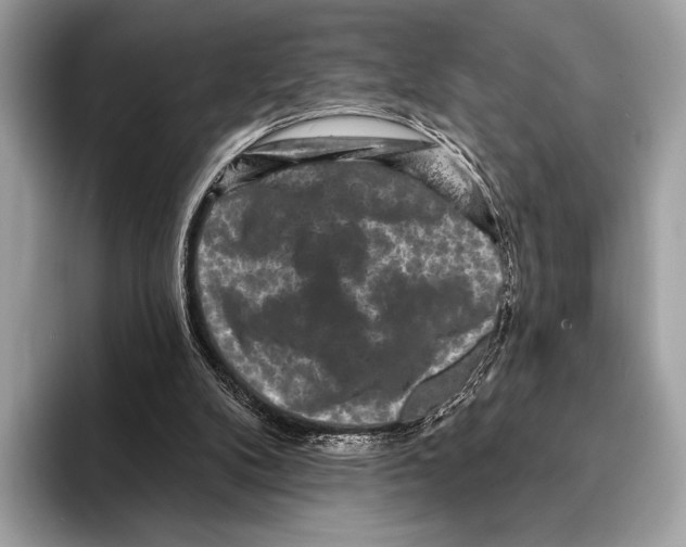 X0000095530104200801111421