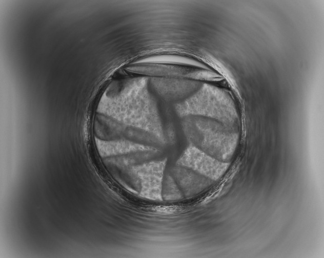 X0000095530105200801111421