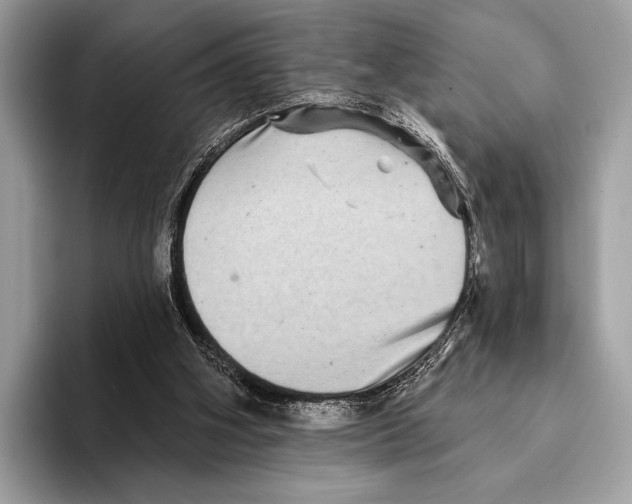 X0000095530106200801111421