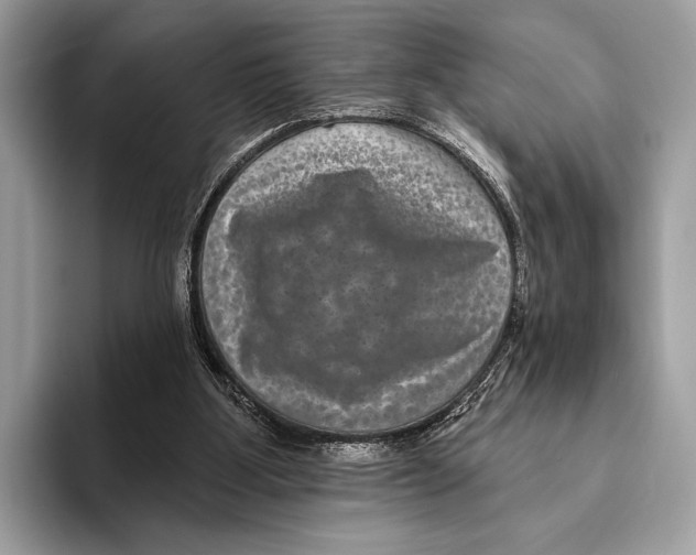 X0000095530107200801111421