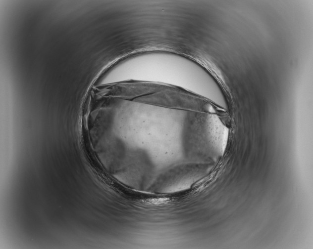 X0000095530108200801111421