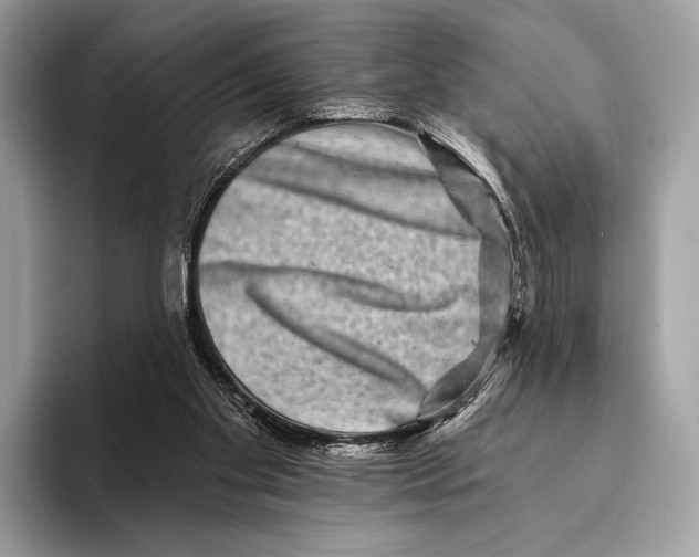 X0000095530109200801111421