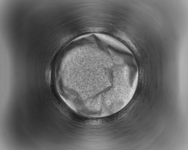 X0000095530110200801111421