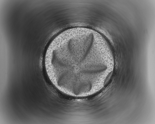 X0000095530111200801111421