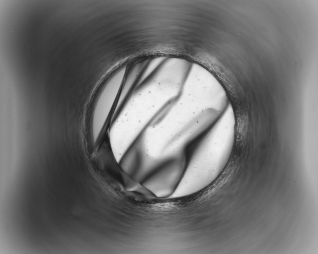 X0000095530112200801111421