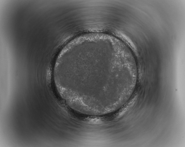 X0000095530113200801111421