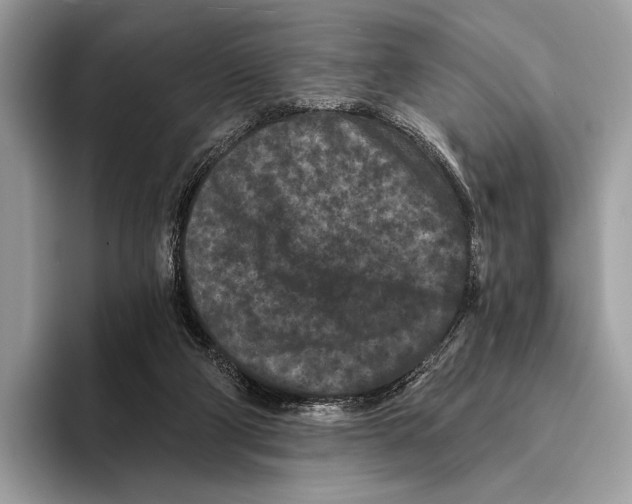 X0000095530114200801111421