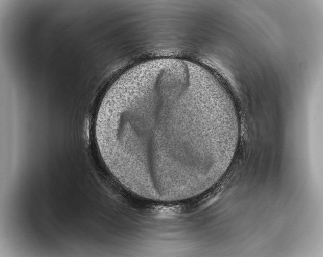 X0000095530115200801111421