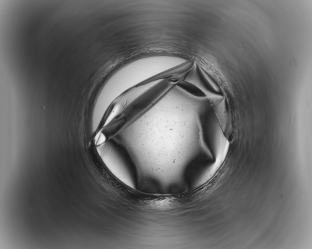 X0000095530116200801111421