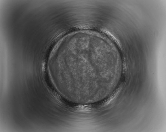 X0000095530117200801111421