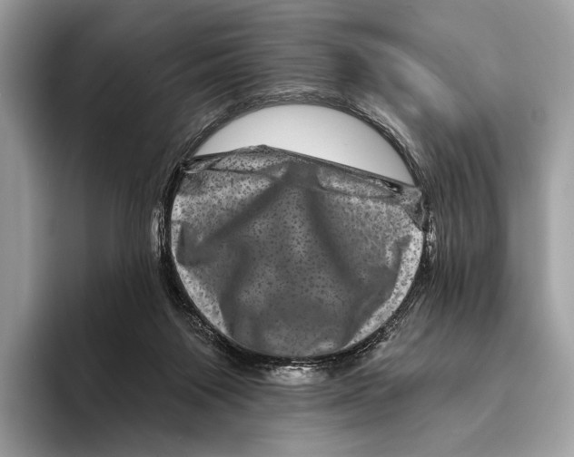 X0000095530119200801111421