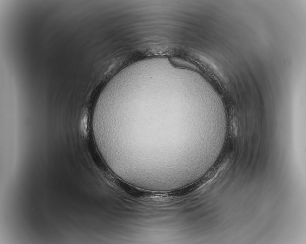 X0000095530121200801111421