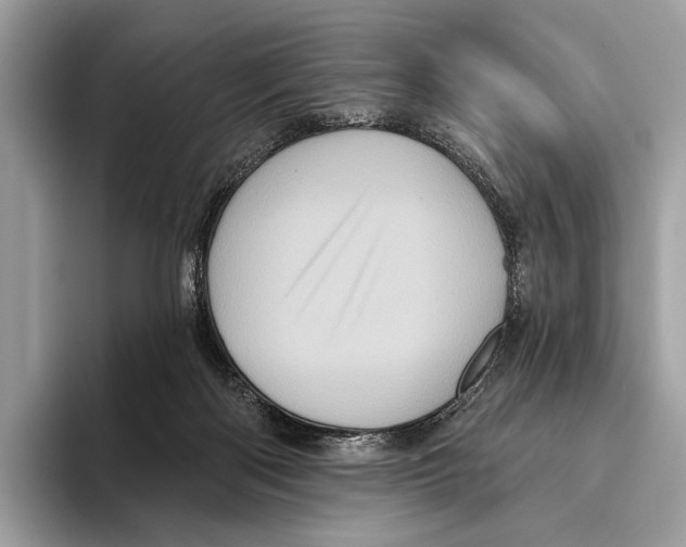 X0000095530122200801111421