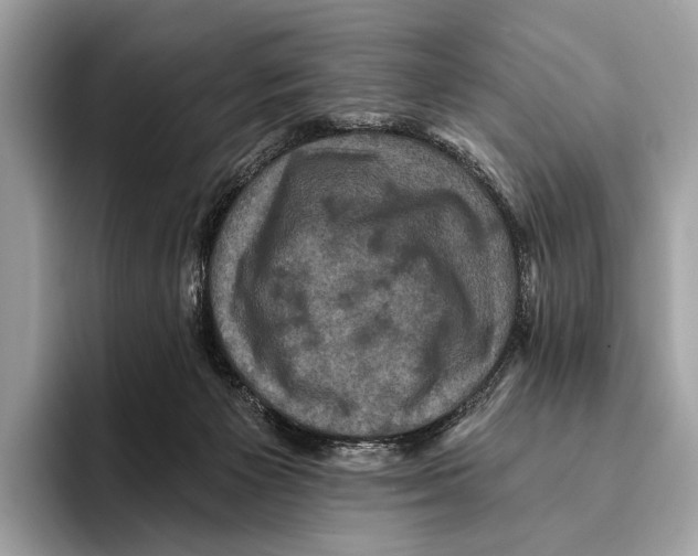 X0000095530125200801111421