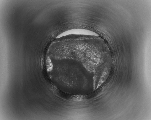 X0000095530127200801111421