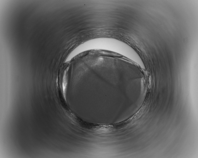 X0000095530128200801111421