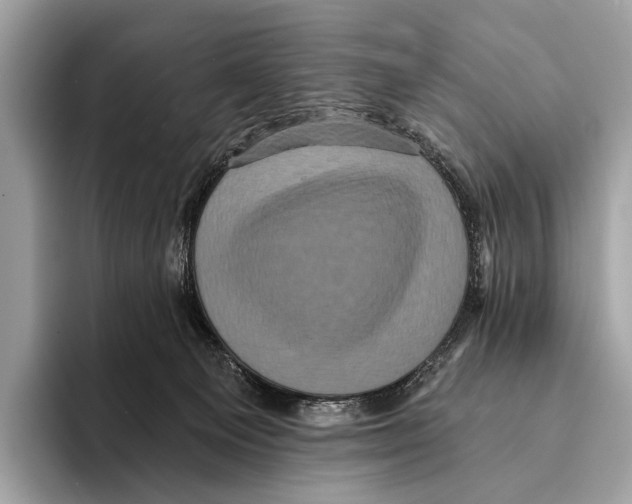 X0000095530129200801111421