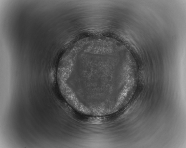 X0000095530131200801111421