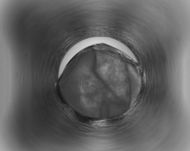 X0000095530132200801111421