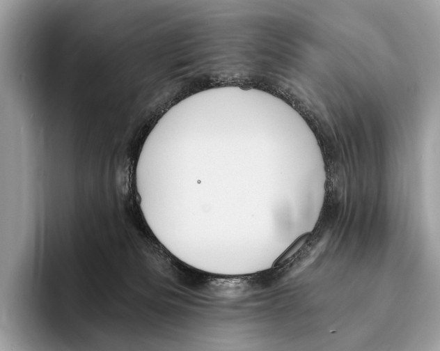 X0000095530133200801111421