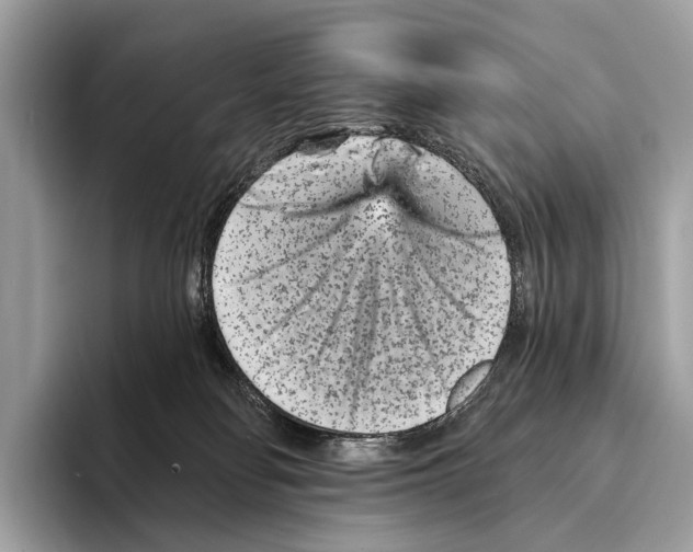 X0000095530134200801111421