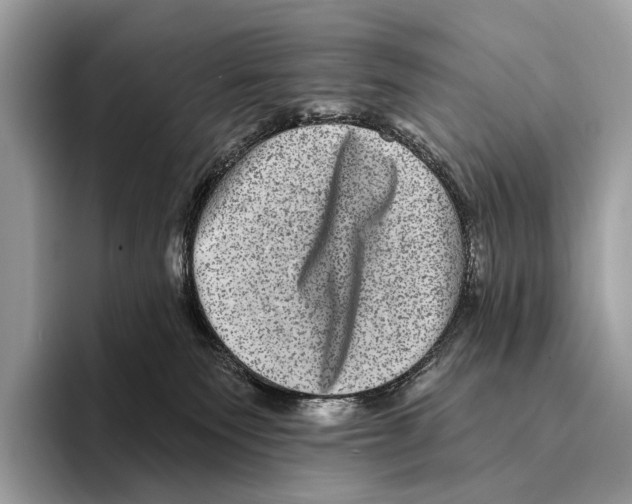 X0000095530135200801111421