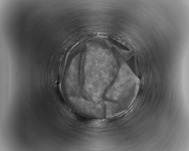 X0000095530136200801111421