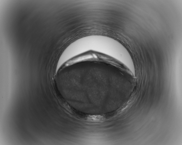 X0000095530137200801111421