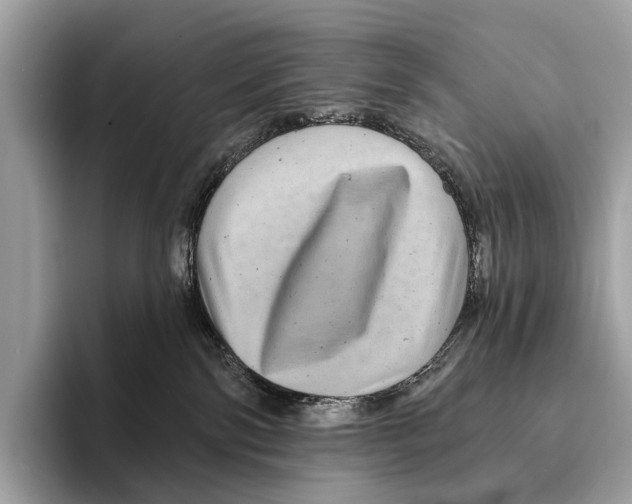 X0000095530138200801111421