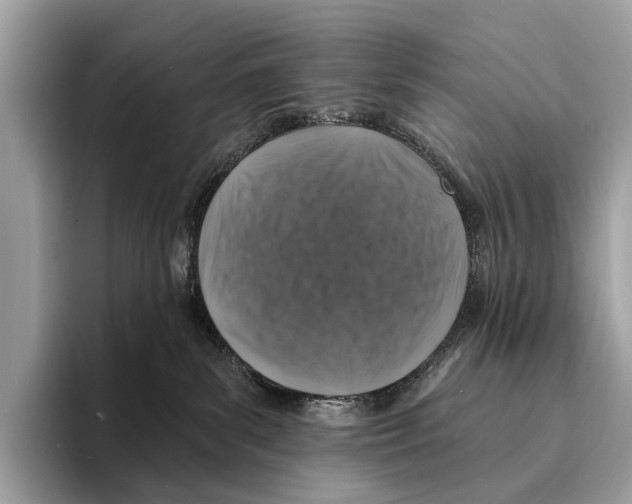 X0000095530139200801111421