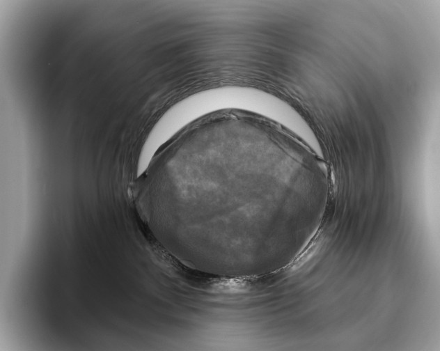 X0000095530140200801111421