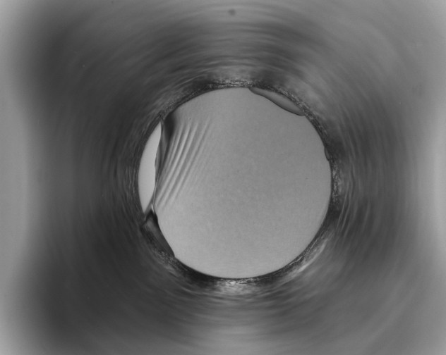 X0000095530141200801111421