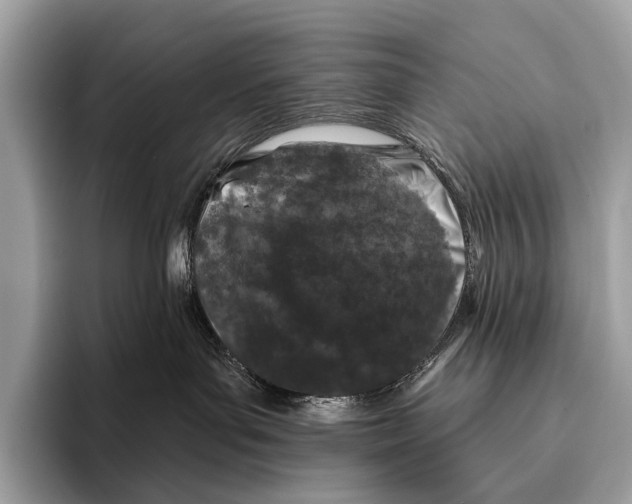 X0000095530143200801111420