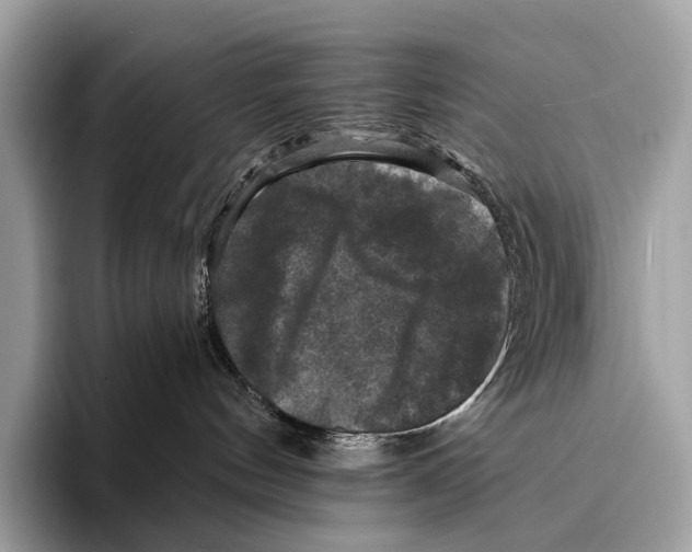 X0000095530144200801111420