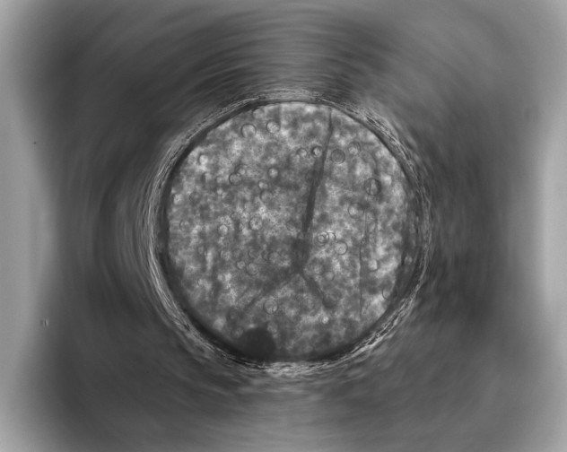 X0000095530145200801111420