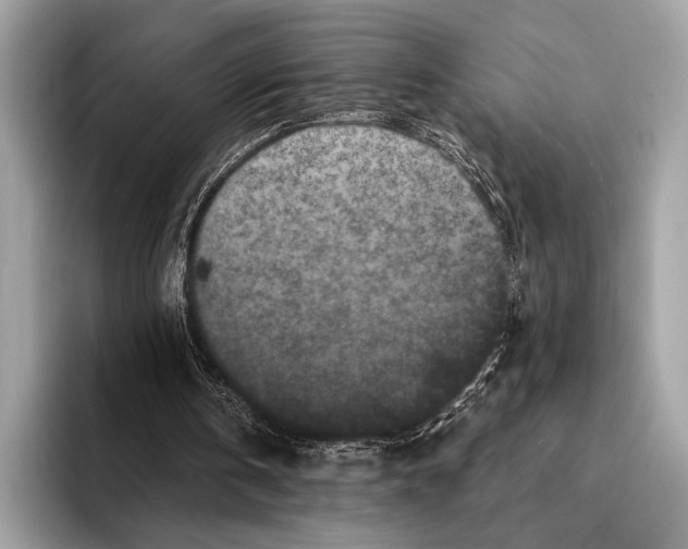 X0000095530146200801111420