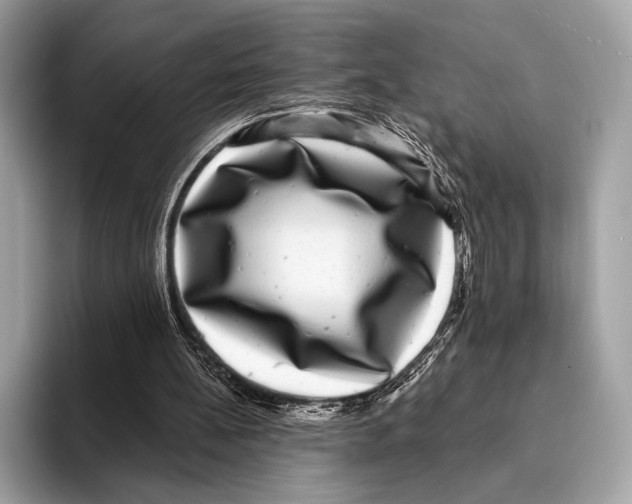 X0000095530148200801111420