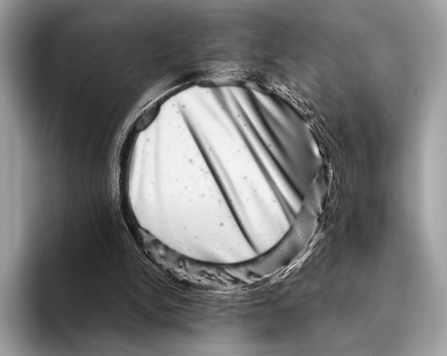 X0000095530150200801111420