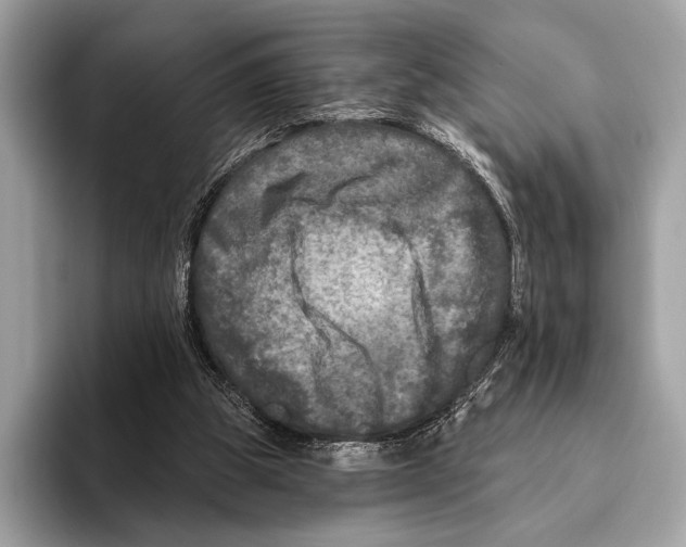 X0000095530153200801111420