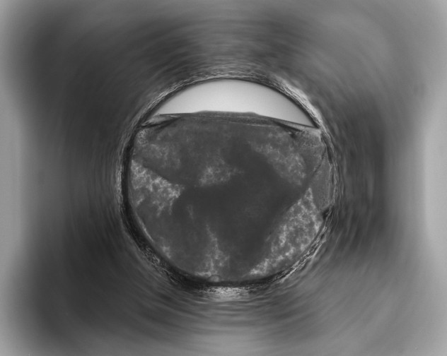 X0000095530154200801111420