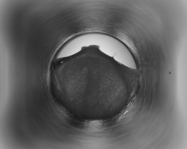 X0000095530156200801111420