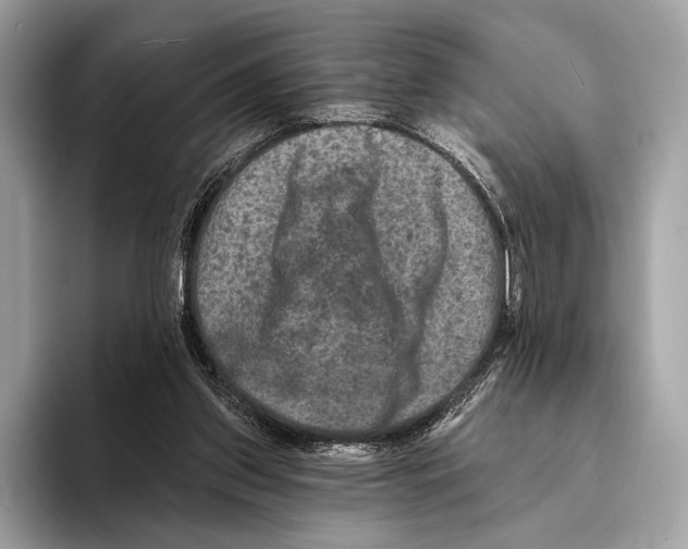 X0000095530157200801111420