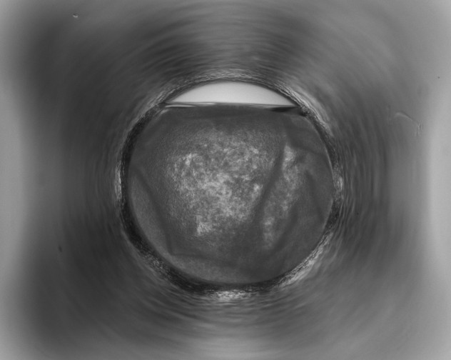 X0000095530158200801111420