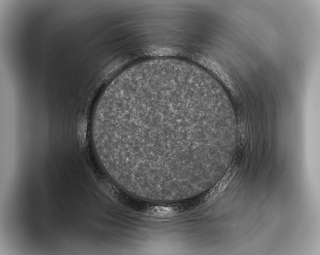 X0000095530159200801111420