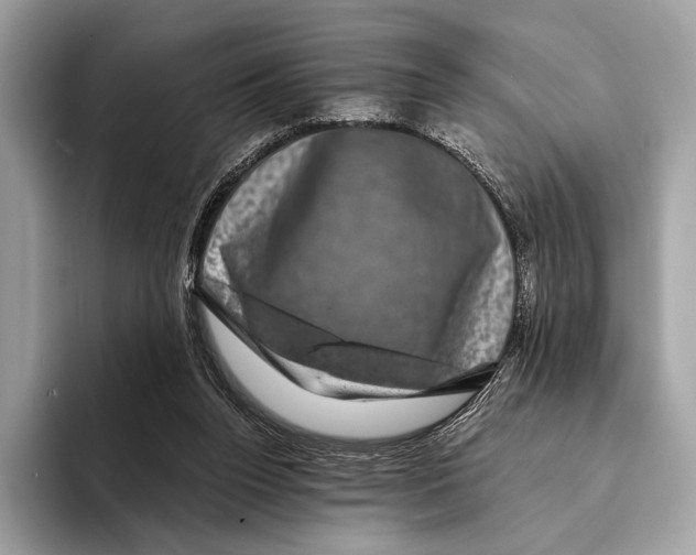 X0000095530160200801111420