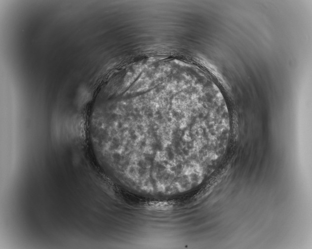 X0000095530161200801111420