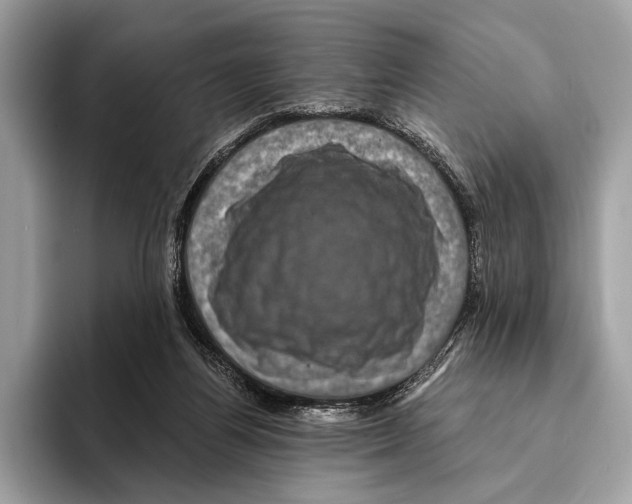 X0000095530164200801111420